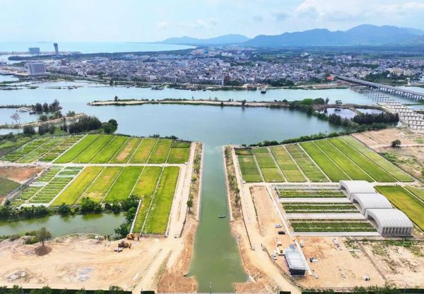 為鹽堿地安上“技術芯片”，托普云農打造耐鹽堿水稻科研試驗基地建設解決方案