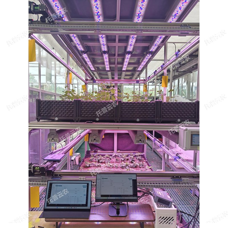 人工氣候室植物表型監測系統